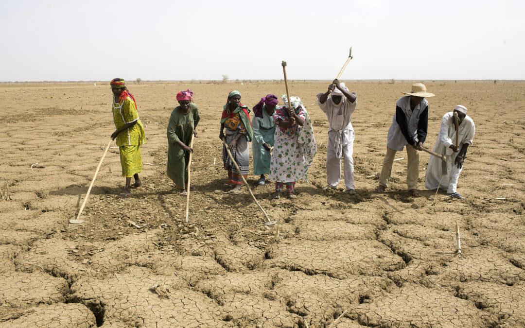 Sequías y clima extremo ponen en riesgo la agricultura en la zona maya de Tulum.