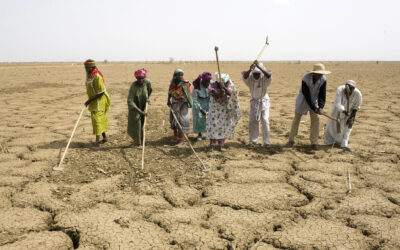 Drought and Extreme Weather Threaten Agriculture in the Mayan Region of Tulum