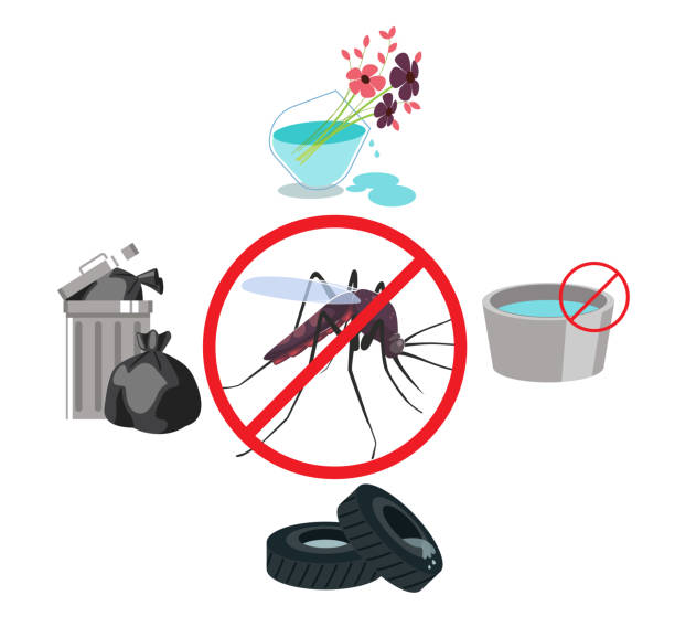 Sheinbaum Announces Bilateral Meeting with U.S. Official; Government Reports Progress in Fight Against Dengue