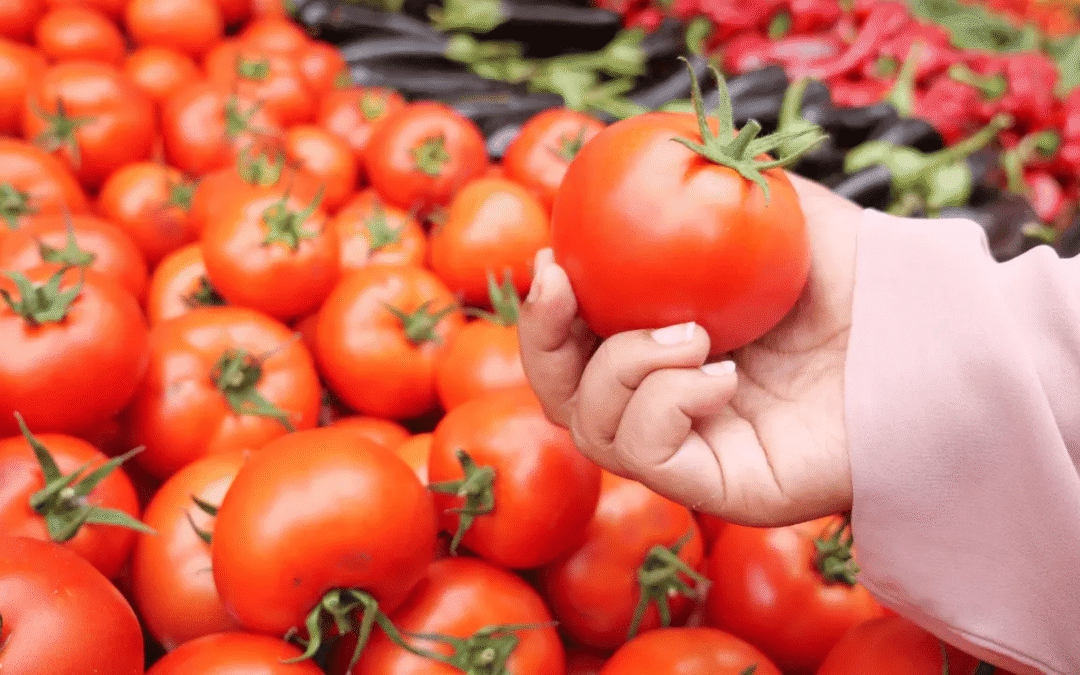 U.S. Imposes 17% Tariff on Mexican Tomatoes over Alleged “Dumping”