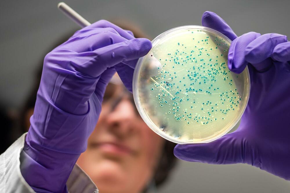 Artificial Intelligence Creates New Antibiotics for Drug-Resistant Gonorrhea and MRSA