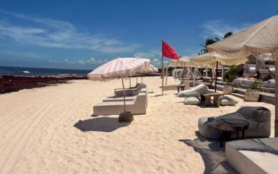 Tourism Crisis in Tulum: Miguel Borge Martín Warns of Uncontrolled Growth