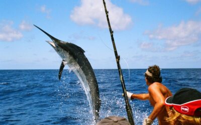 Nuevo turismo en Quintana Roo: la pesca deportiva