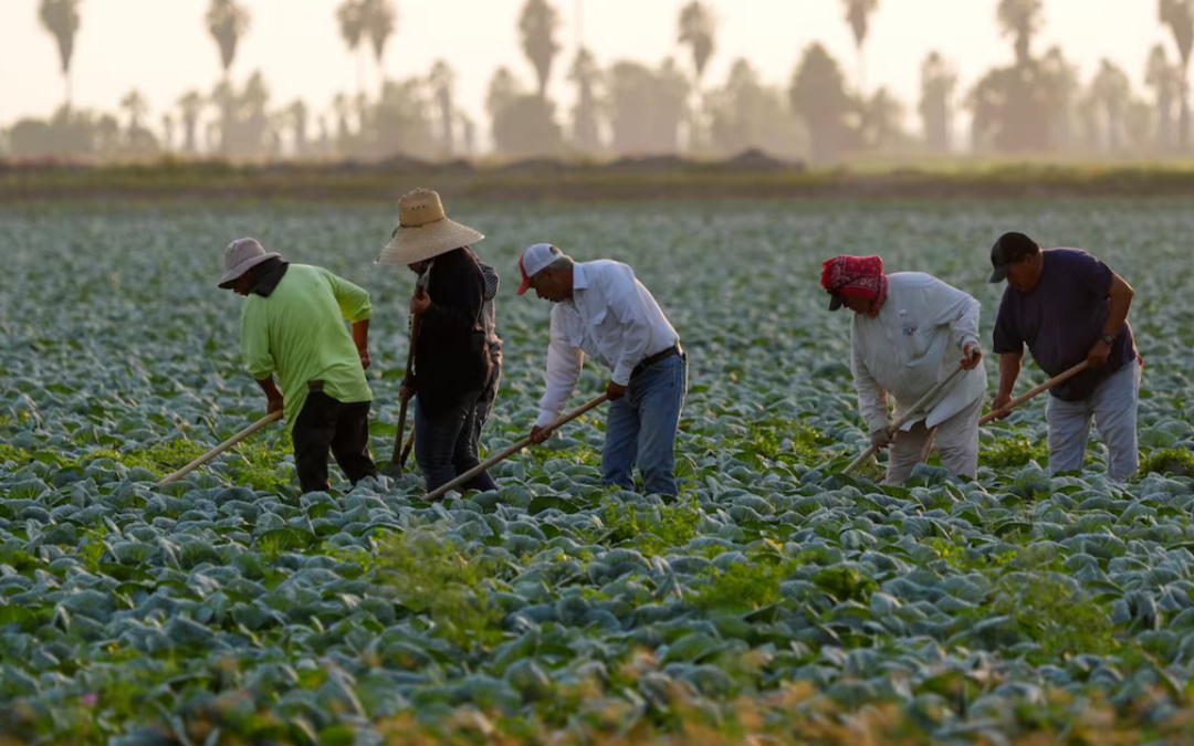 PIB de mexicanos en EE. UU.: La 8ª economía del mundo