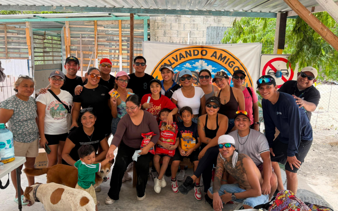 Voluntariado MERA: Colaboradores apoyan al refugio “Salvando Amigos, Dejando Huellas”