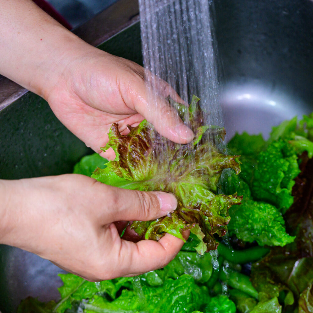 Cyclospora in Mexico: Health officials rule out outbreak