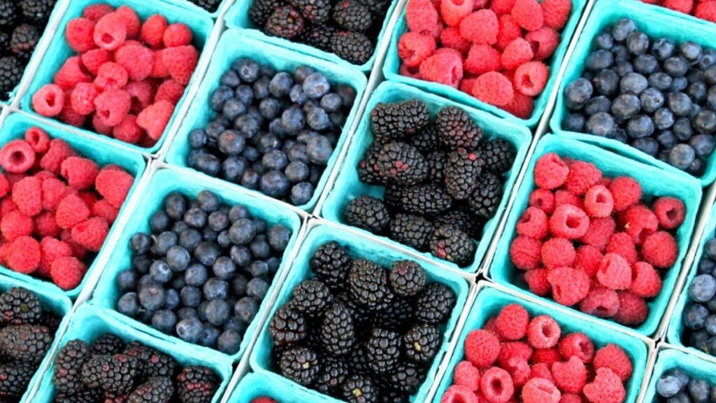 Frutos rojos de México: Líder en exportación