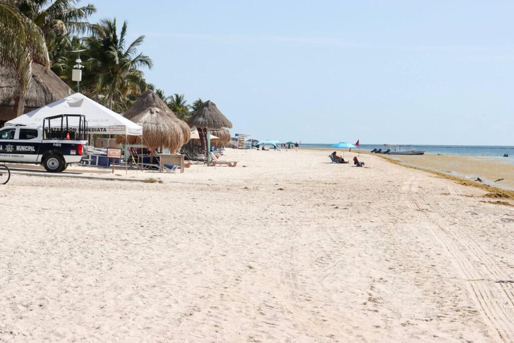 Sargazo en Puerto Morelos: Mantienen la limpieza.