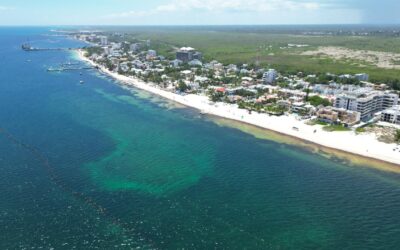 Sargazo en Puerto Morelos: Mantienen la limpieza.