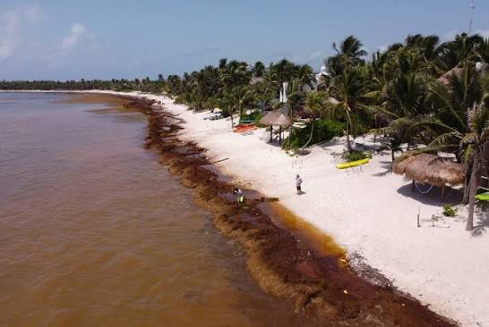 Weddings in Tulum drop due to sargassum season